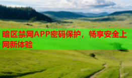 暗区禁网APP密码保护，畅享安全上网新体验