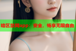 暗区禁网app：安全，畅享无限自由