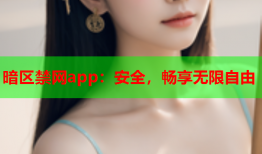 暗区禁网app：安全，畅享无限自由