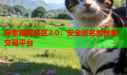 探索暗网禁区2.0：安全匿名的秘密交易平台