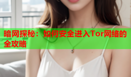 暗网探秘：如何安全进入Tor网络的全攻略