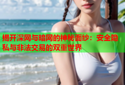 揭开深网与暗网的神秘面纱：安全隐私与非法交易的双重世界