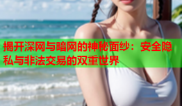 揭开深网与暗网的神秘面纱：安全隐私与非法交易的双重世界