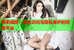 探索暗网：匿名访问与隐私保护的终极平台