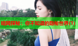 暗网探秘：你不知道的隐秘世界(1)