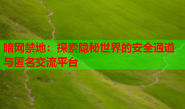 暗网禁地：探索隐秘世界的安全通道与匿名交流平台