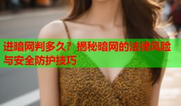 进暗网判多久？揭秘暗网的法律风险与安全防护技巧