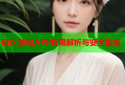 暗区禁网APP权限解析与安全指南