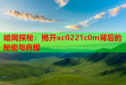 暗网探秘：揭开xc0221c0m背后的秘密与真相