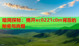 暗网探秘：揭开xc0221c0m背后的秘密与真相