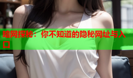 暗网探秘：你不知道的隐秘网址与入口