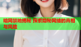 暗网禁地揭秘 探索隐秘网络的真相与风险