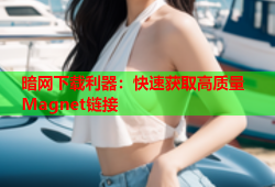 暗网下载利器：快速获取高质量Magnet链接