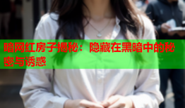 暗网红房子揭秘：隐藏在黑暗中的秘密与诱惑