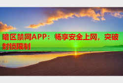 暗区禁网APP：畅享安全上网，突破封锁限制