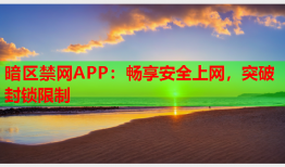 暗区禁网APP：畅享安全上网，突破封锁限制