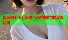 暗网禁区PC版是否值得期待的深度解析