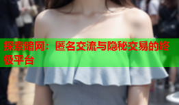 探索暗网：匿名交流与隐秘交易的终极平台