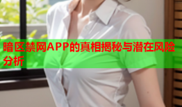 暗区禁网APP的真相揭秘与潜在风险分析