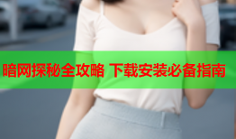 暗网探秘全攻略 下载安装必备指南