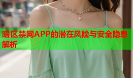 暗区禁网APP的潜在风险与安全隐患解析