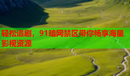 轻松追剧，91暗网禁区带你畅享海量影视资源