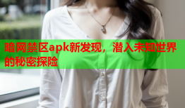 暗网禁区apk新发现，潜入未知世界的秘密探险