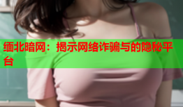 缅北暗网：揭示网络诈骗与的隐秘平台