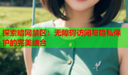 探索暗网禁区：无障碍访问与隐私保护的完美结合