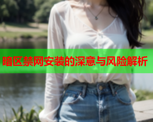 暗区禁网安装的深意与风险解析