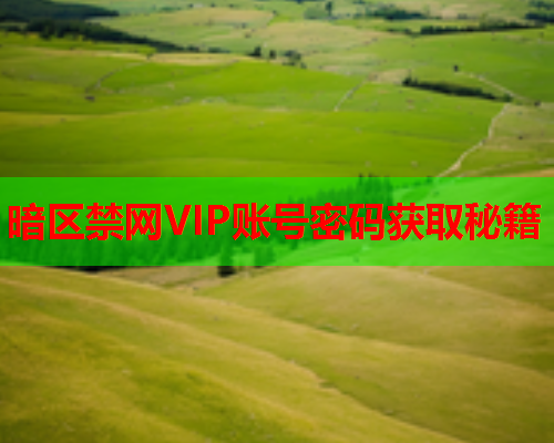 暗区禁网VIP账号密码获取秘籍