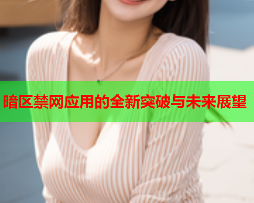 暗区禁网应用的全新突破与未来展望