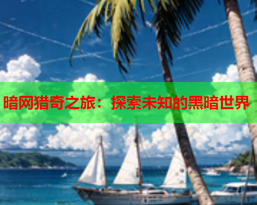 暗网猎奇之旅：探索未知的黑暗世界