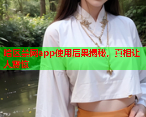 暗区禁网app使用后果揭秘，真相让人震惊