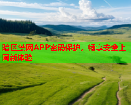 暗区禁网APP密码保护，畅享安全上网新体验