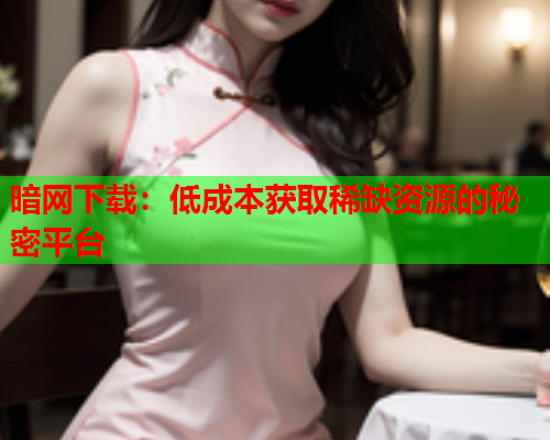 暗网下载：低成本获取稀缺资源的秘密平台