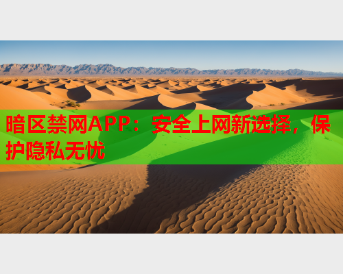 暗区禁网APP：安全上网新选择，保护隐私无忧