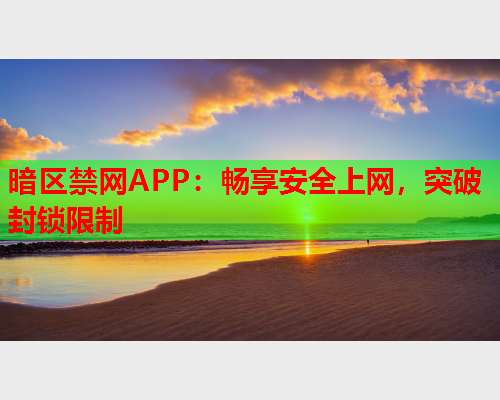 暗区禁网APP：畅享安全上网，突破封锁限制