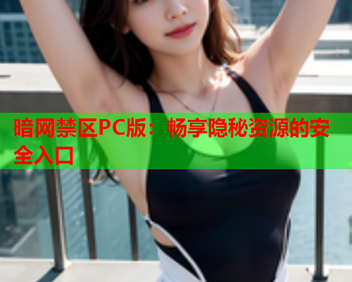 暗网禁区PC版：畅享隐秘资源的安全入口