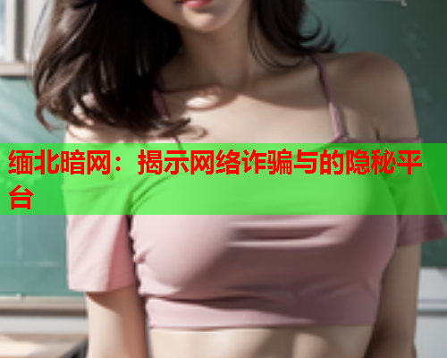 缅北暗网：揭示网络诈骗与的隐秘平台